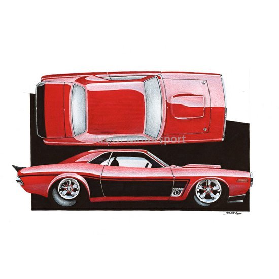 challebird, 2010, kresba a4 - zarámováno - 4000kč.jpg