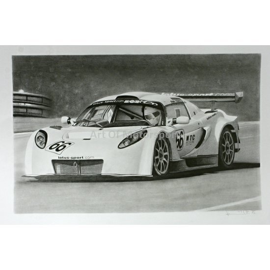 lotus ,kresba tužkou-reprodukce 30x42.jpg