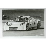 lotus ,kresba tužkou-reprodukce 30x42.jpg